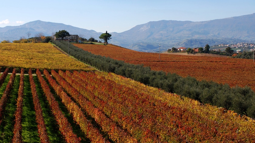 abruzzo-vinregionen-landskap