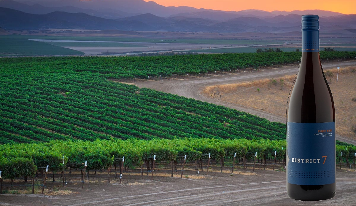vy över vingårdar i monterey, kalifornen som tillhör scheidfamily wines och även bild på district 7 pinot noir.