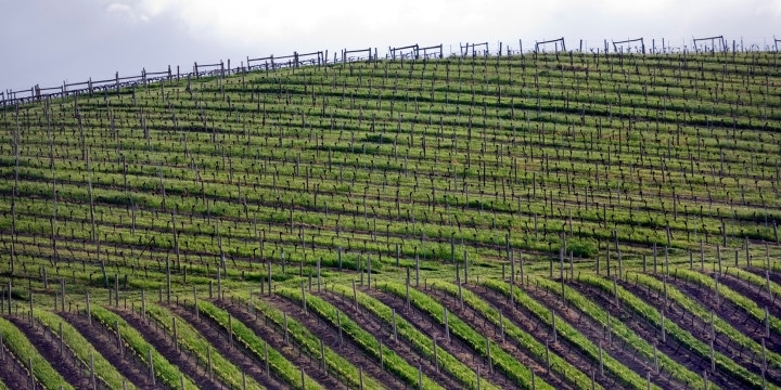 Ripasso – fler fantastiska viner från Valpolicella