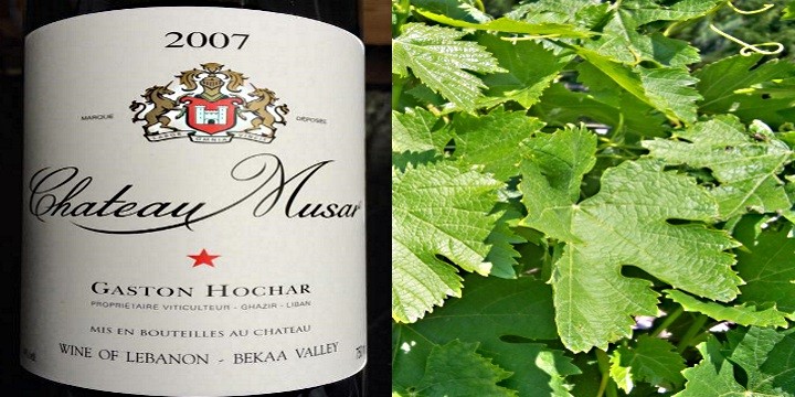Château Musar – prova ett riktigt spännande vin