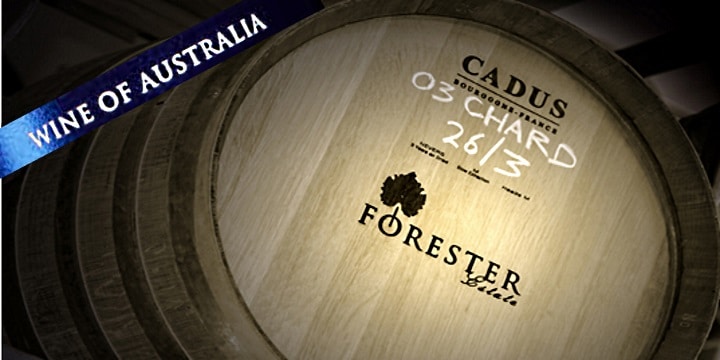 Forester Estate Cabernet Sauvignon – elegant och sofistikerad