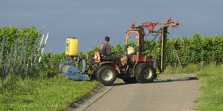 Bordeaux skär ner på bekämpningsmedel