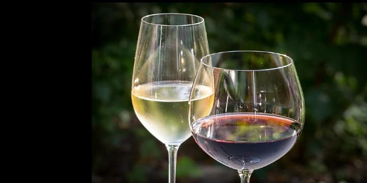 Södra Rhône – trendigaste vinregionen idag med vintips!