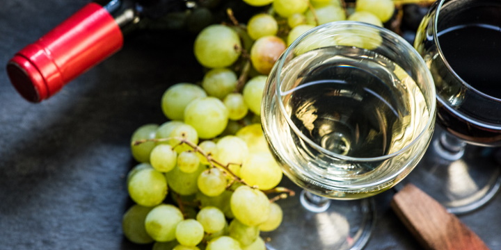 Österrike - vit och rött vin i glas samt druvor