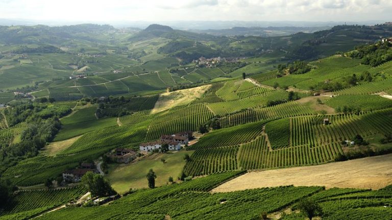Piedmont – En av de bästa vinregionerna – din guide till vingårdarna