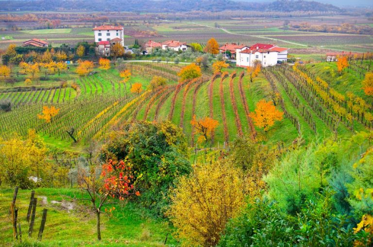 Friuli – Vinregionen i Norra Italien – Här är din insider guide till vingårdarna