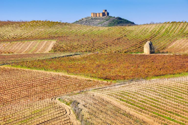 Rioja, en vin-metropol i norra Spanien!