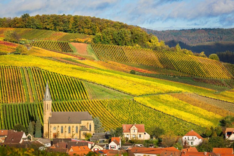 Pfalz – Tysklands nästa största vinregion