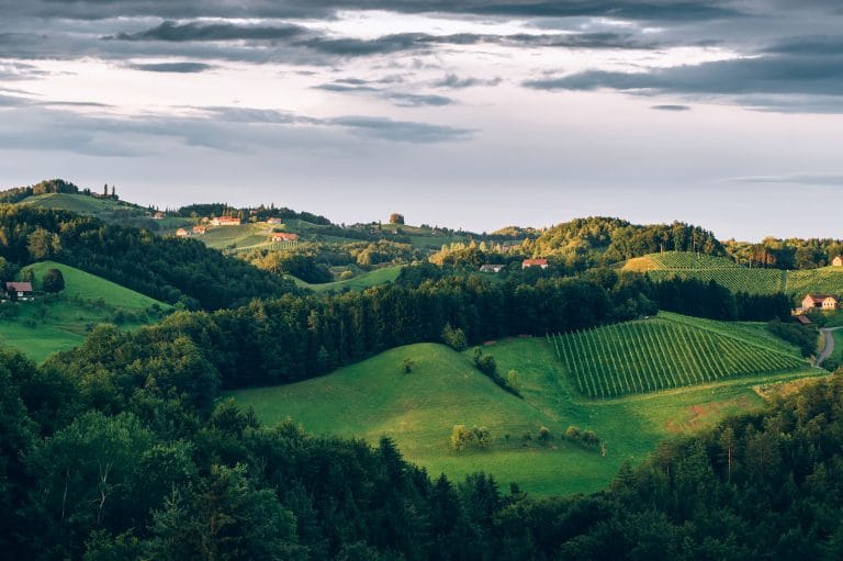 Din insider guide till vingårdarna i vinregionen Styria