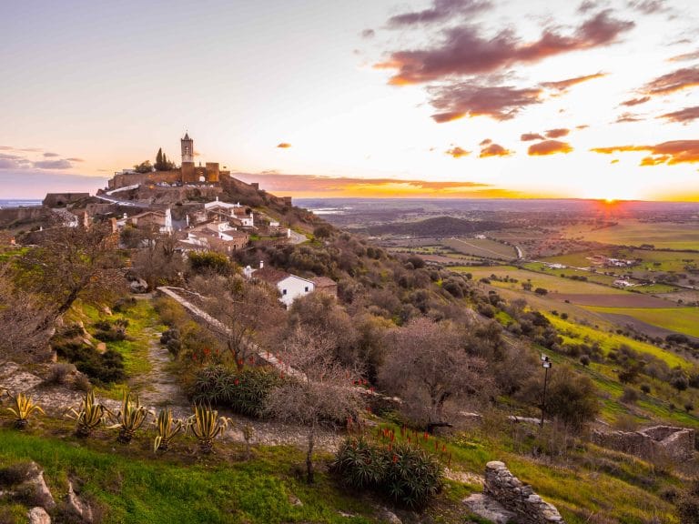 Portugals största vinregion Alentejo erbjuder fantastiska viner