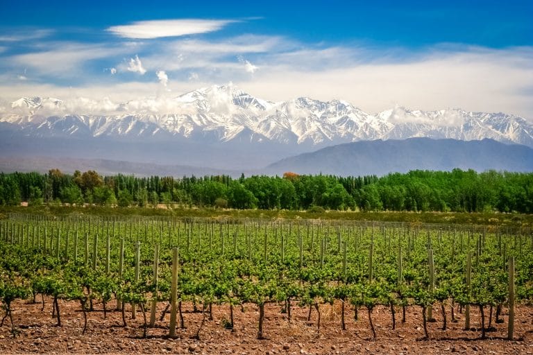 Den viktigaste vinregionen i Argentina – Guide till vingårdarna i Mendoza