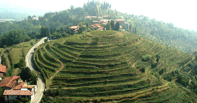 Region: Terre Lariane – vinerna kring Comosjön