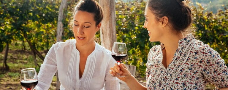 Pinot Noir – upptäck Tysklands eleganta viner!