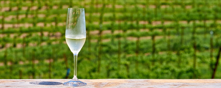 omslag sverige vin - ett glas på en vingård