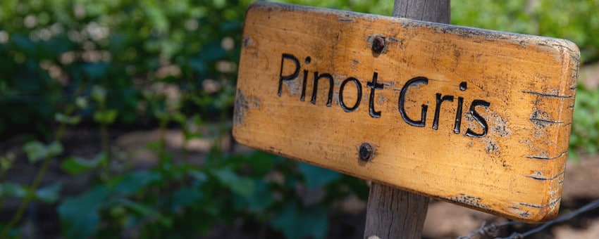 Pinot Gris - en träskylt med namnet