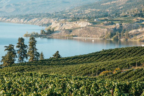 nya vinregioner - Kanada Okanagan Valley
