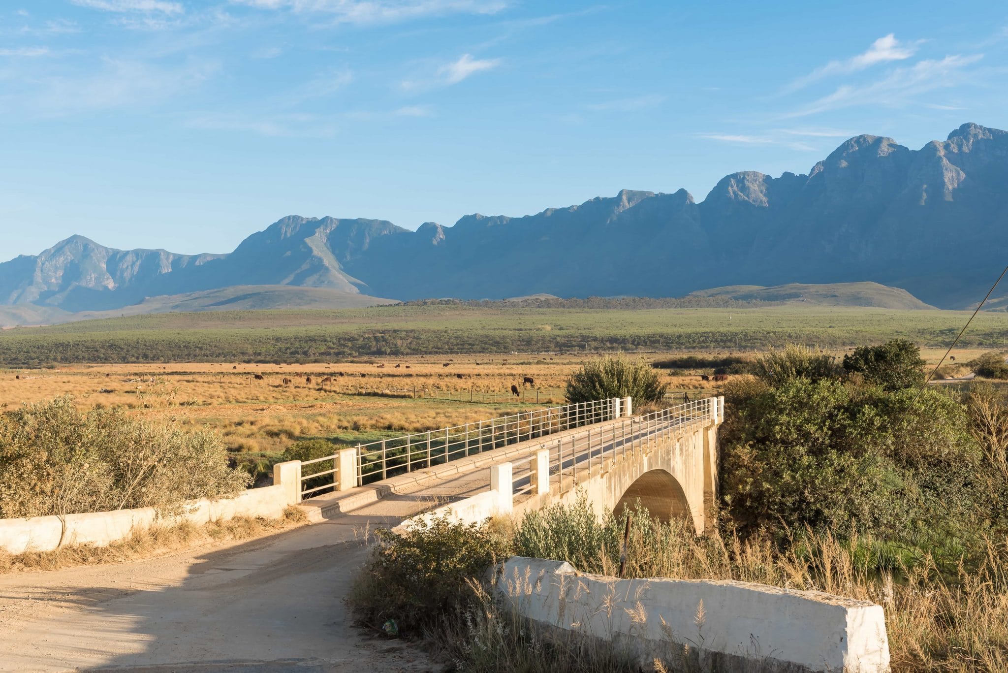 Cape South Coast – Din insider guide till en vinregionen på den södra kusten av Kapprovinsen