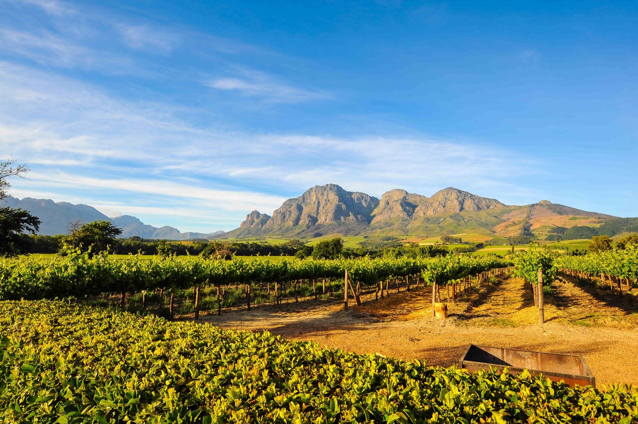 Coastal Regions fantastiska viner i Sydafrika!