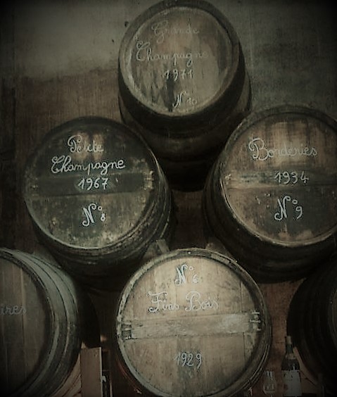 Konjak görs i regionen Cognac
