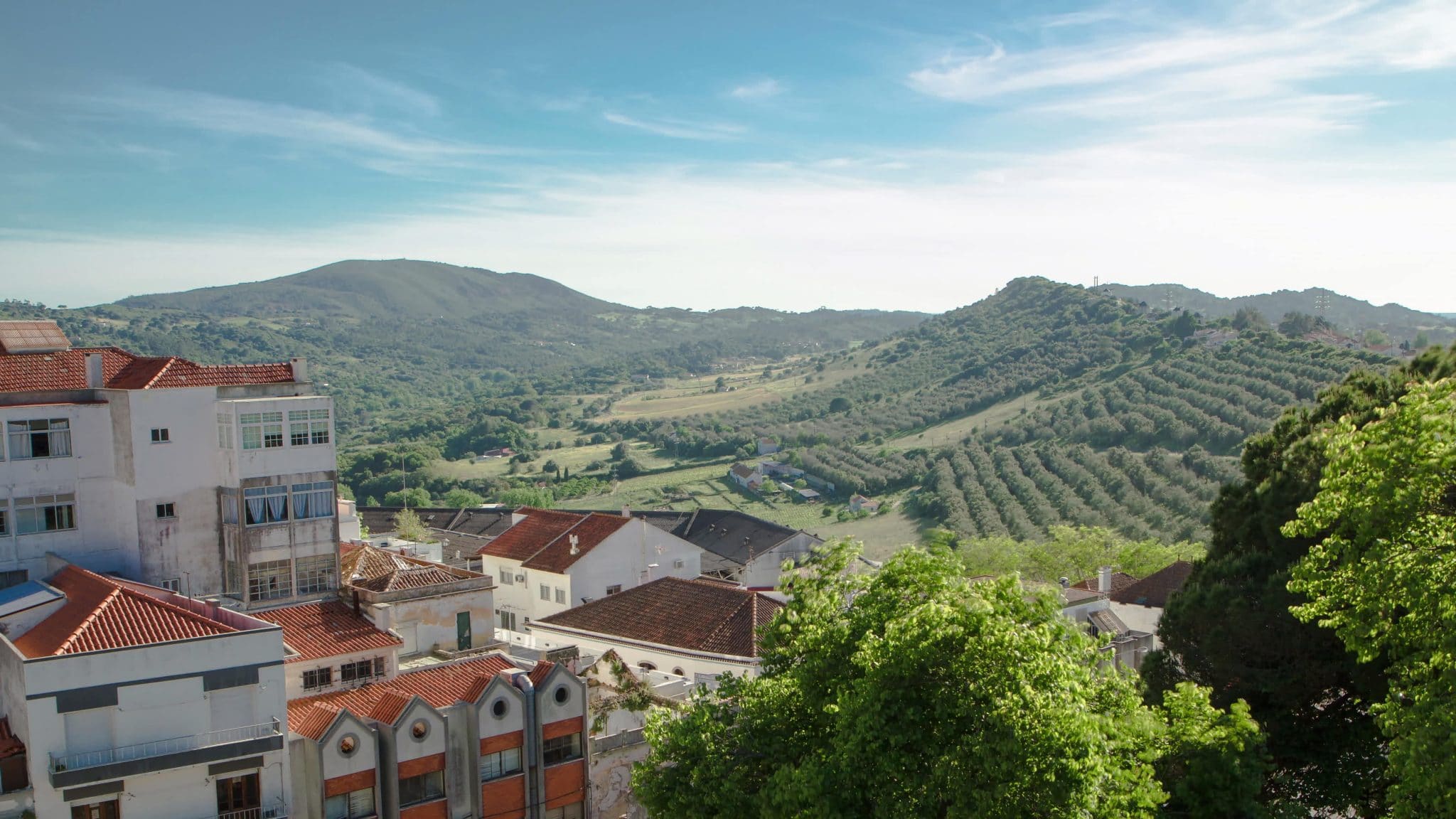 Portugal levererar många olika vinregioner, exempelvis Tejo och Setubal Peninsula