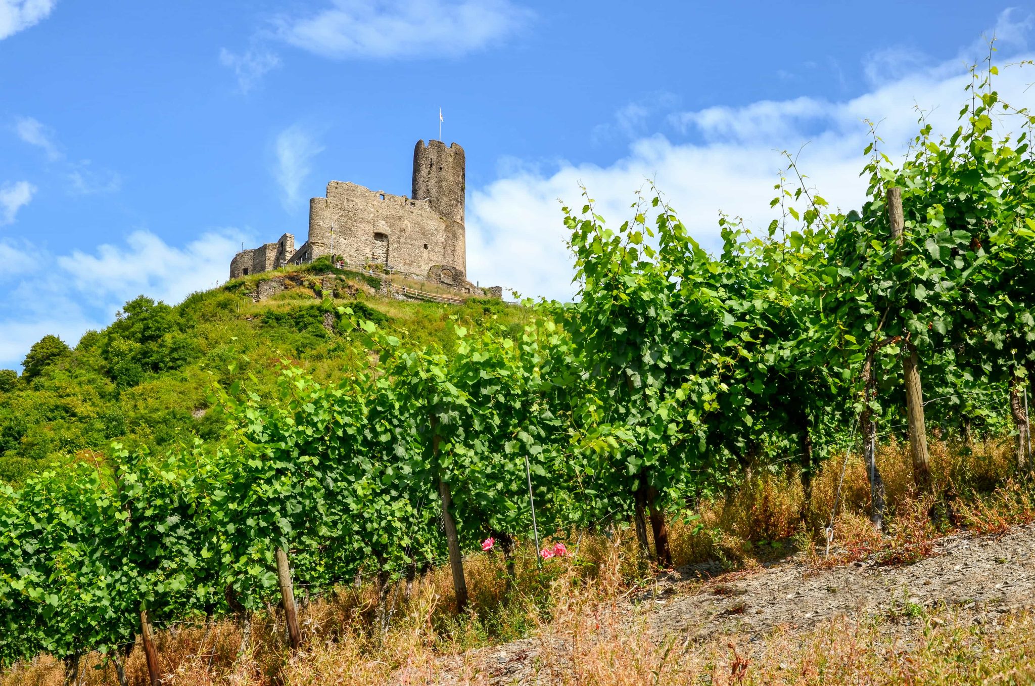 Mosel, med några av väldens mest pittoreska vingårdar