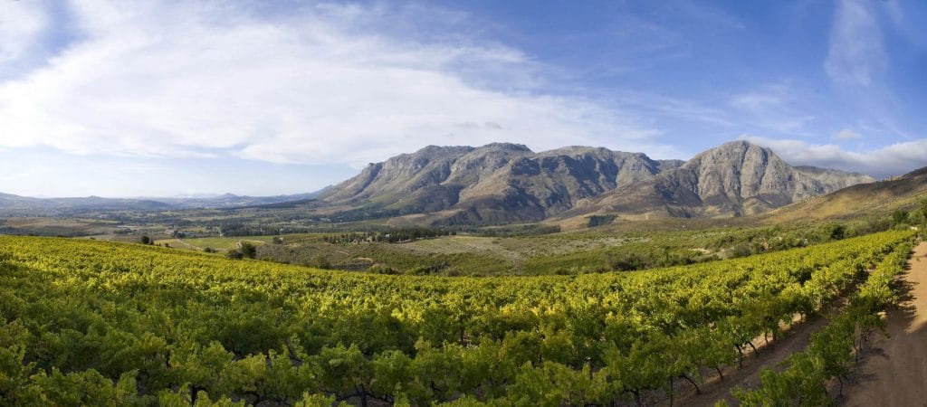 stellenbosch-vinregionen-landskap