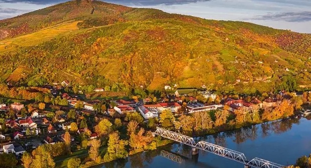 Tokaj och Villany – Ungerns äldsta och mest dynamiska vinregioner