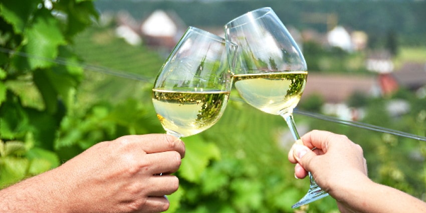 Populära Riesling viner – 3 tips på eleganta viner!