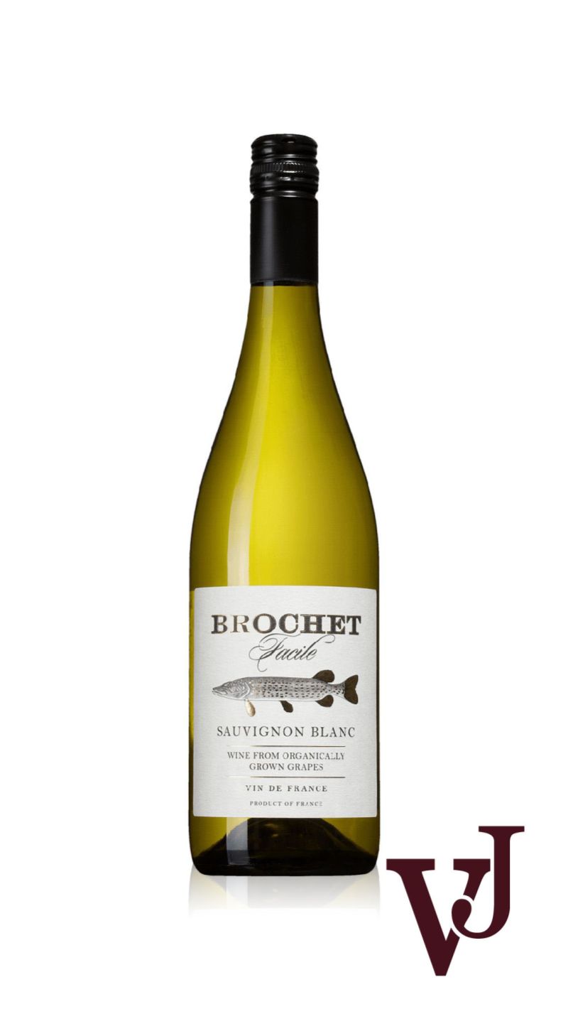 Vitt Vin - Brochet Facile Sauvignon Blanc artikel nummer 226701 från producenten Ampelidae från området Frankrike