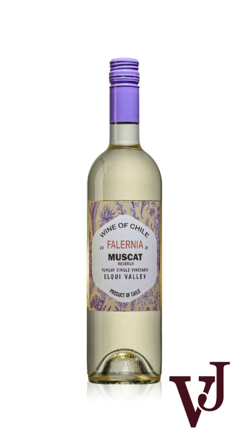 Vitt Vin - Falernia Muscat artikel nummer 257201 från producenten Viña Falernia från området Chile