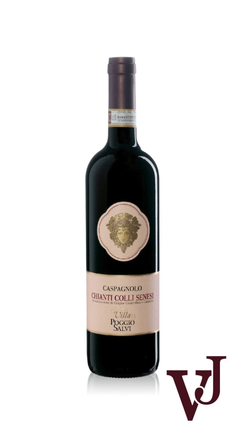 Rött Vin - Villa Poggio Salvi Caspagnolo Chianti Colli Senesi artikel nummer 7410601 från producenten Poggio Salvi från området Italien