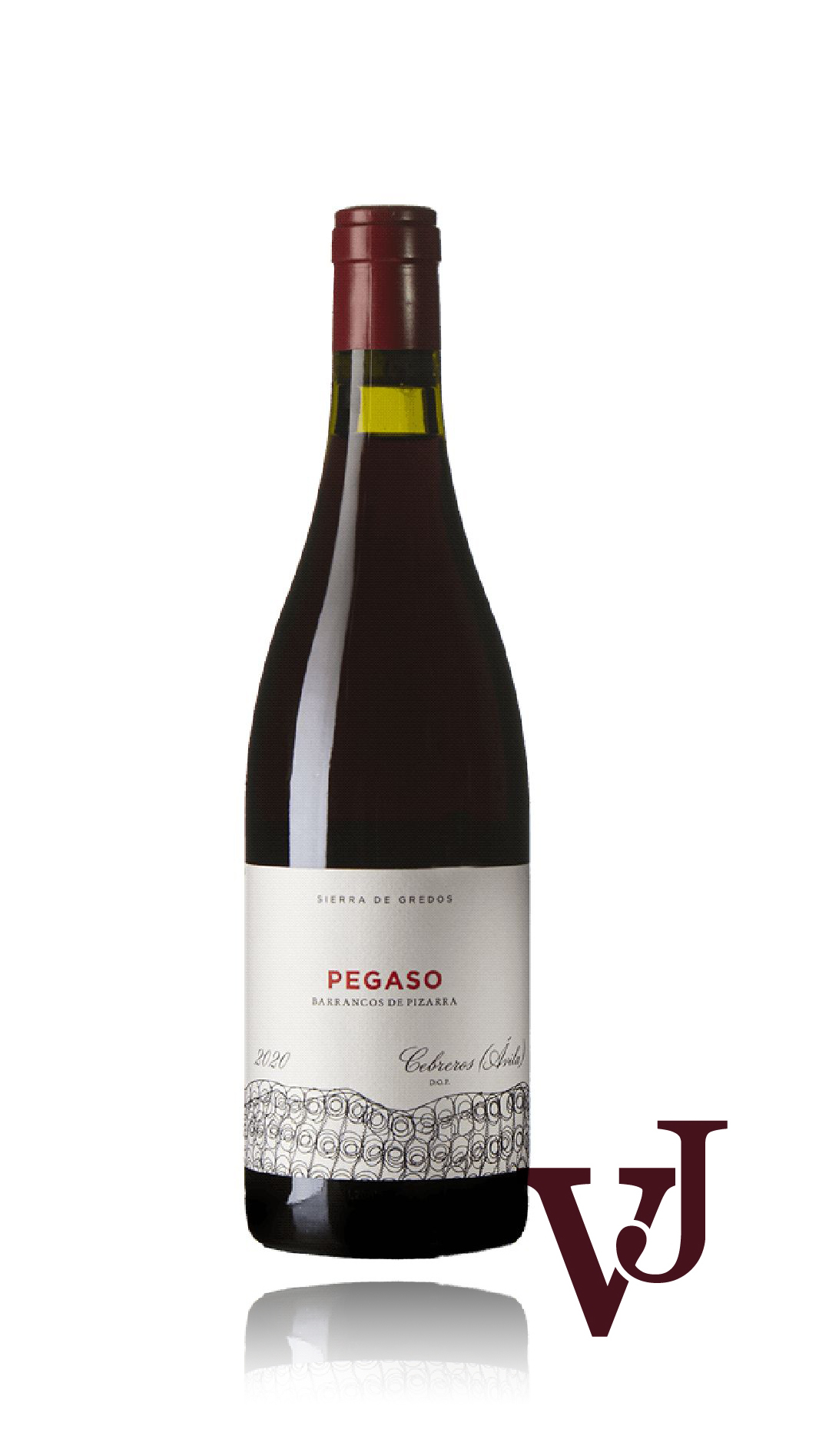 Rött Vin - Pegaso Pizarra Cebreros 2020 artikel nummer 9264801 från producenten Telmo Rodriguez från området