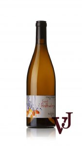 Berthollier Chignin Bergeron Saint Anthelme 2020